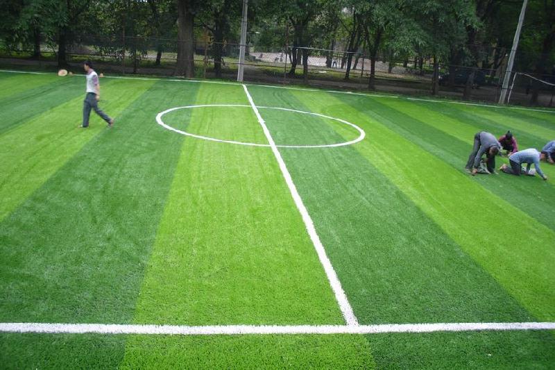 足球场人造草坪